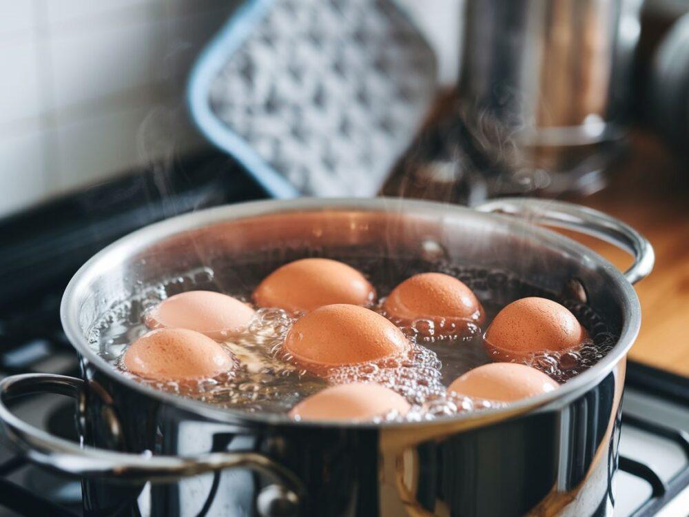 gotujące się jajka