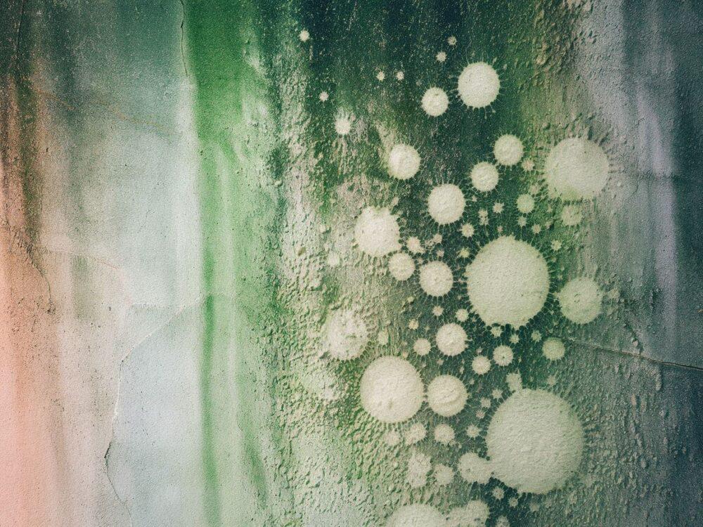 zabrudzenia ścienne